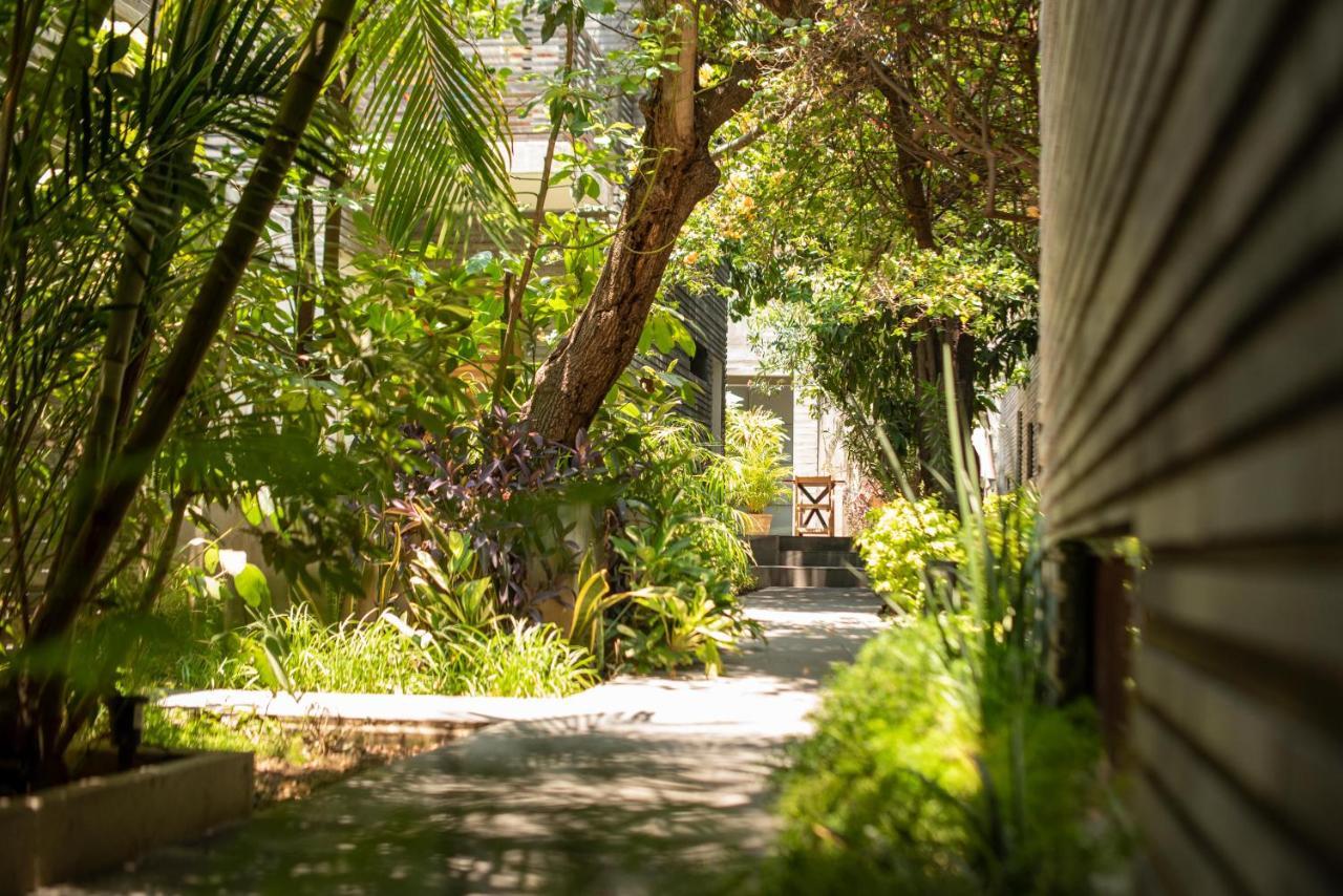 ホテル Nardazul "Casa De Suenos" Oaxaca エクステリア 写真